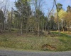 Lot 12 Trailwood Circle, Bruceton Mills, West Virginia 26525, ,Lots/land,For Sale,Trailwood,10159211