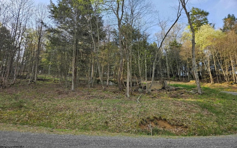 Lot 12 Trailwood Circle, Bruceton Mills, West Virginia 26525, ,Lots/land,For Sale,Trailwood,10159211