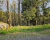 Lot 12 Trailwood Circle, Bruceton Mills, West Virginia 26525, ,Lots/land,For Sale,Trailwood,10159211