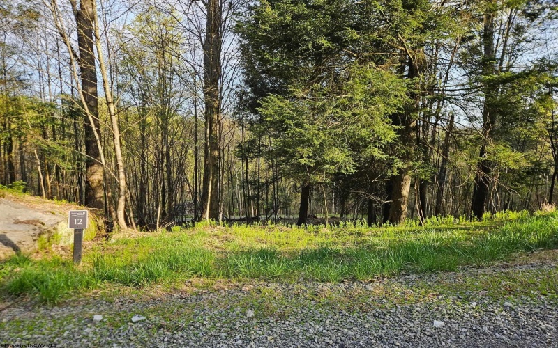 Lot 12 Trailwood Circle, Bruceton Mills, West Virginia 26525, ,Lots/land,For Sale,Trailwood,10159211