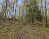 Lot 12 Trailwood Circle, Bruceton Mills, West Virginia 26525, ,Lots/land,For Sale,Trailwood,10159211