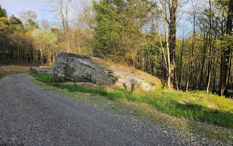 Lot 12 Trailwood Circle, Bruceton Mills, West Virginia 26525, ,Lots/land,For Sale,Trailwood,10159211