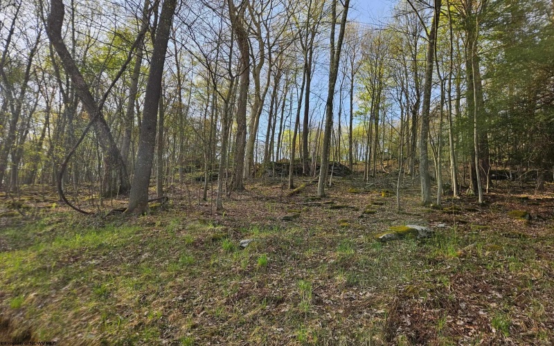 Lot 12 Trailwood Circle, Bruceton Mills, West Virginia 26525, ,Lots/land,For Sale,Trailwood,10159211