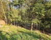 Lot 12 Trailwood Circle, Bruceton Mills, West Virginia 26525, ,Lots/land,For Sale,Trailwood,10159211
