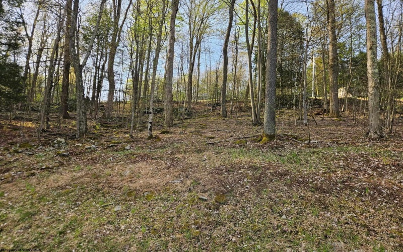 Lot 12 Trailwood Circle, Bruceton Mills, West Virginia 26525, ,Lots/land,For Sale,Trailwood,10159211