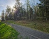 Lot 12 Trailwood Circle, Bruceton Mills, West Virginia 26525, ,Lots/land,For Sale,Trailwood,10159211