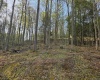 Lot 12 Trailwood Circle, Bruceton Mills, West Virginia 26525, ,Lots/land,For Sale,Trailwood,10159211