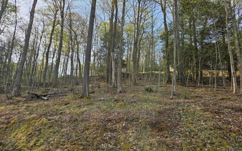 Lot 12 Trailwood Circle, Bruceton Mills, West Virginia 26525, ,Lots/land,For Sale,Trailwood,10159211