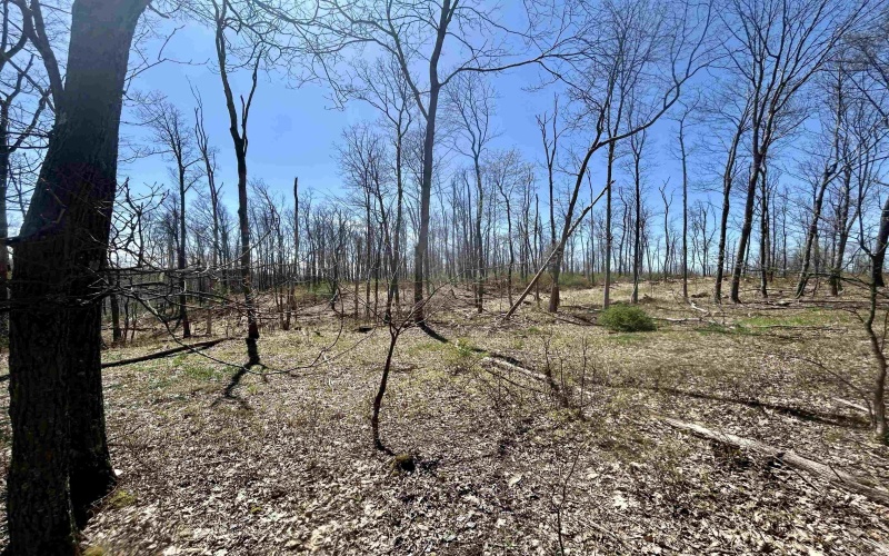 TBD Sand Springs Road, Morgantown, West Virginia 26508, ,Lots/land,For Sale,Sand Springs,10159253