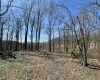 TBD Sand Springs Road, Morgantown, West Virginia 26508, ,Lots/land,For Sale,Sand Springs,10159253