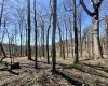 TBD Sand Springs Road, Morgantown, West Virginia 26508, ,Lots/land,For Sale,Sand Springs,10159253