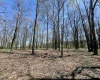 TBD Sand Springs Road, Morgantown, West Virginia 26508, ,Lots/land,For Sale,Sand Springs,10159253