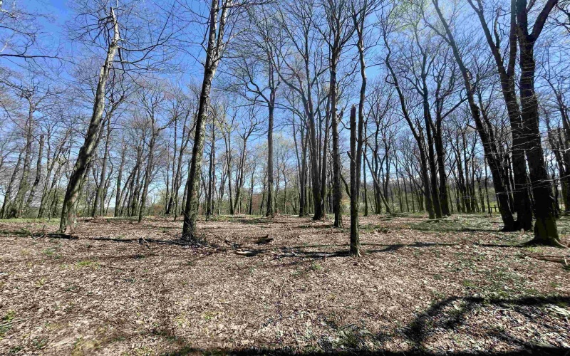 TBD Sand Springs Road, Morgantown, West Virginia 26508, ,Lots/land,For Sale,Sand Springs,10159253
