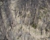 TBD Sand Springs Road, Morgantown, West Virginia 26508, ,Lots/land,For Sale,Sand Springs,10159253
