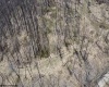 TBD Sand Springs Road, Morgantown, West Virginia 26508, ,Lots/land,For Sale,Sand Springs,10159253