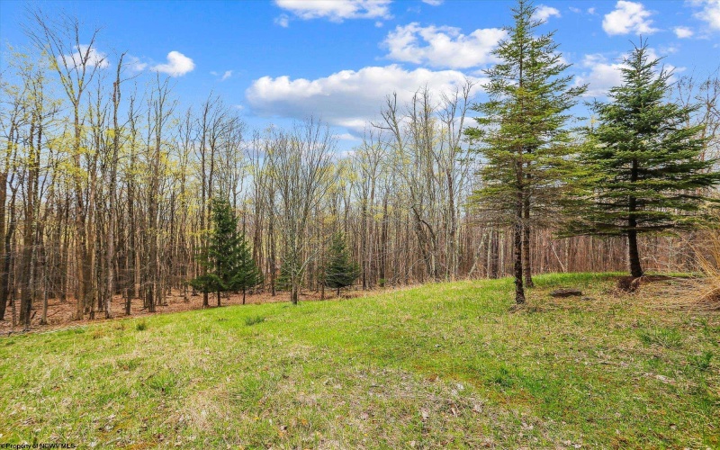 1405 Cabin Mountain Road, Davis, West Virginia 26260, 3 Bedrooms Bedrooms, 6 Rooms Rooms,2 BathroomsBathrooms,Single Family Detached,For Sale,Cabin Mountain,10159247