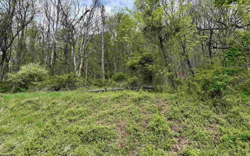 TBD Highland Avenue, Mannington, West Virginia 26582, ,Lots/land,For Sale,Highland,10159266