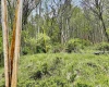 TBD Highland Avenue, Mannington, West Virginia 26582, ,Lots/land,For Sale,Highland,10159266
