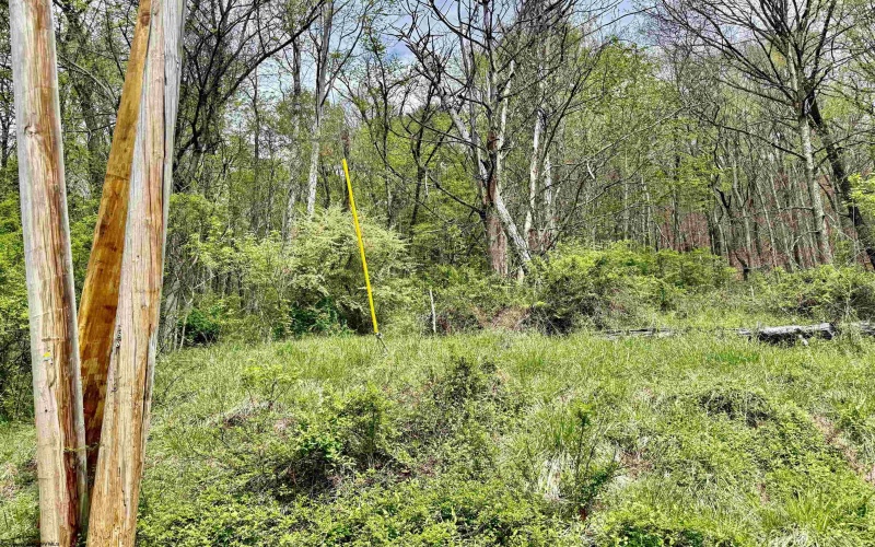 TBD Highland Avenue, Mannington, West Virginia 26582, ,Lots/land,For Sale,Highland,10159266
