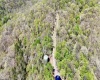 TBD Highland Avenue, Mannington, West Virginia 26582, ,Lots/land,For Sale,Highland,10159266