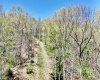 TBD Highland Avenue, Mannington, West Virginia 26582, ,Lots/land,For Sale,Highland,10159266