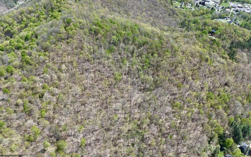 TBD Highland Avenue, Mannington, West Virginia 26582, ,Lots/land,For Sale,Highland,10159266
