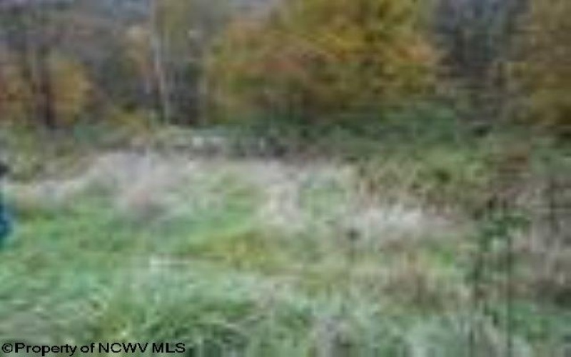 2410 Buckhannon Pike, Mount Clare, West Virginia 26408, ,Lots/land,For Sale,Buckhannon,10152554