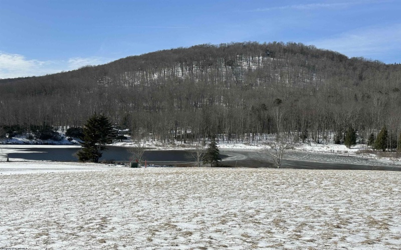 32 Waterfront Drive, Davis, West Virginia 26260, ,Lots/land,For Sale,Waterfront,10158044