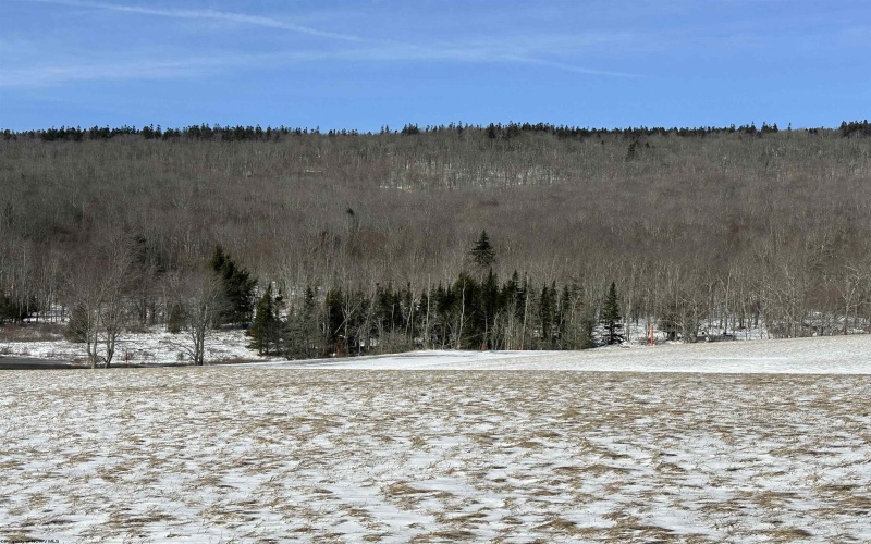 32 Waterfront Drive, Davis, West Virginia 26260, ,Lots/land,For Sale,Waterfront,10158044