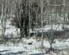 32 Waterfront Drive, Davis, West Virginia 26260, ,Lots/land,For Sale,Waterfront,10158044