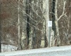 32 Waterfront Drive, Davis, West Virginia 26260, ,Lots/land,For Sale,Waterfront,10158044