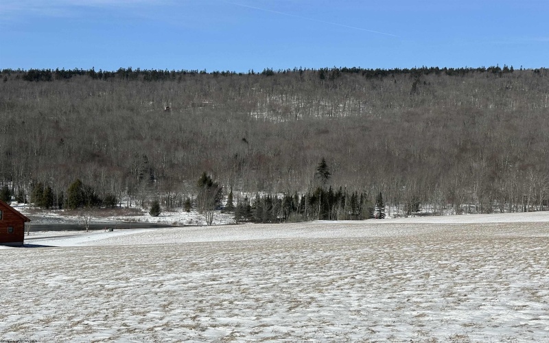 32 Waterfront Drive, Davis, West Virginia 26260, ,Lots/land,For Sale,Waterfront,10158044