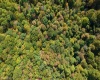 0 Veterans Memorial Highway, Kingwood, West Virginia 26537, ,Lots/land,For Sale,Veterans Memorial,10159292