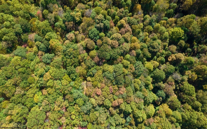 0 Veterans Memorial Highway, Kingwood, West Virginia 26537, ,Lots/land,For Sale,Veterans Memorial,10159292