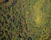 0 Veterans Memorial Highway, Kingwood, West Virginia 26537, ,Lots/land,For Sale,Veterans Memorial,10159292