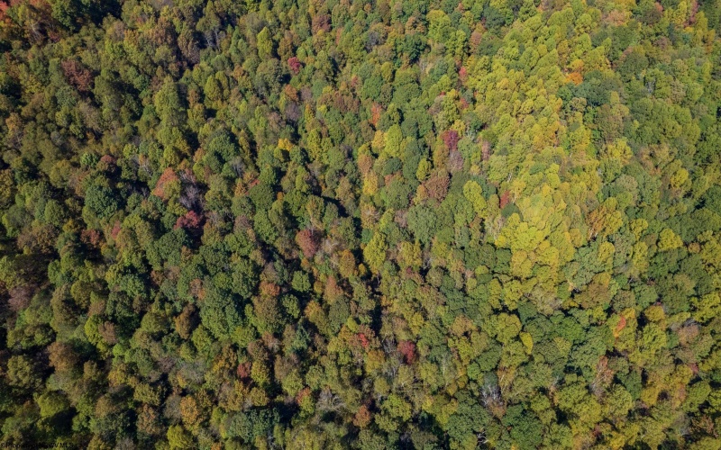 0 Veterans Memorial Highway, Kingwood, West Virginia 26537, ,Lots/land,For Sale,Veterans Memorial,10159292
