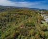 0 Veterans Memorial Highway, Kingwood, West Virginia 26537, ,Lots/land,For Sale,Veterans Memorial,10159292