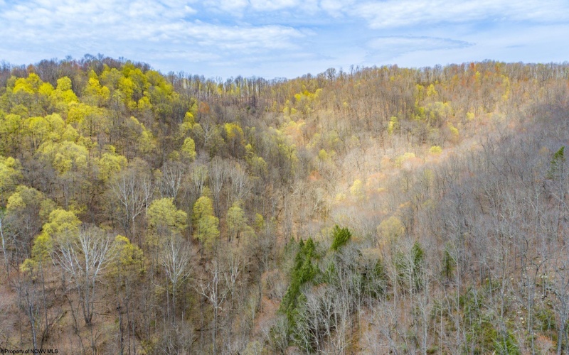 7913 WV HWY 5 East, Glenville, West Virginia 26430, 2 Bedrooms Bedrooms, 10 Rooms Rooms,2 BathroomsBathrooms,Single Family Detached,For Sale,WV HWY 5,10159280