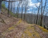 7913 WV HWY 5 East, Glenville, West Virginia 26430, 2 Bedrooms Bedrooms, 10 Rooms Rooms,2 BathroomsBathrooms,Single Family Detached,For Sale,WV HWY 5,10159280