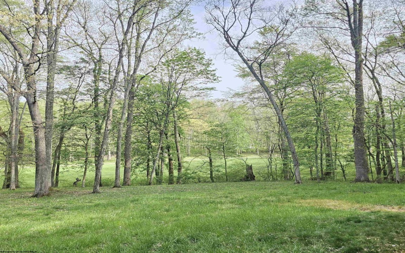54 Lakeside Road, Terra Alta, West Virginia 26764, 2 Bedrooms Bedrooms, 6 Rooms Rooms,2 BathroomsBathrooms,Single Family Detached,For Sale,Lakeside,10159278