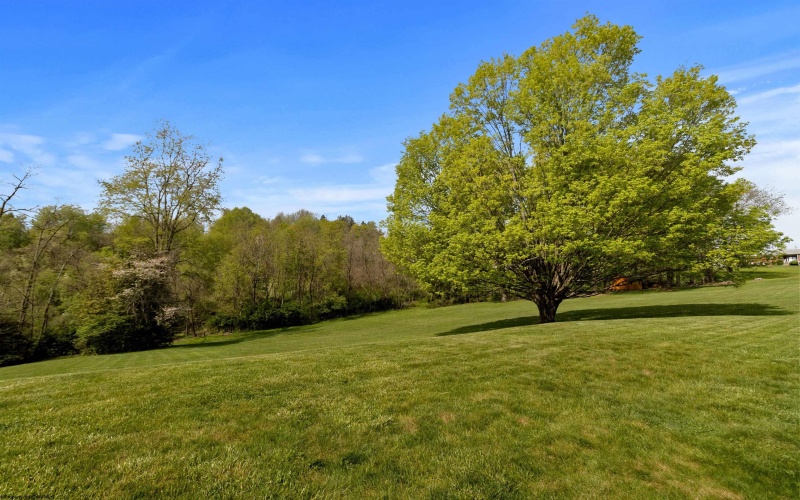 112 View Street, Kingwood, West Virginia 26537, 3 Bedrooms Bedrooms, 10 Rooms Rooms,2 BathroomsBathrooms,Single Family Detached,For Sale,View,10159308