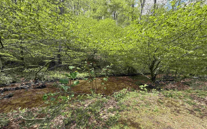 1035 Cleveland Road, Cleveland, West Virginia 26215, 3 Bedrooms Bedrooms, 7 Rooms Rooms,2 BathroomsBathrooms,Single Family Detached,For Sale,Cleveland,10159305