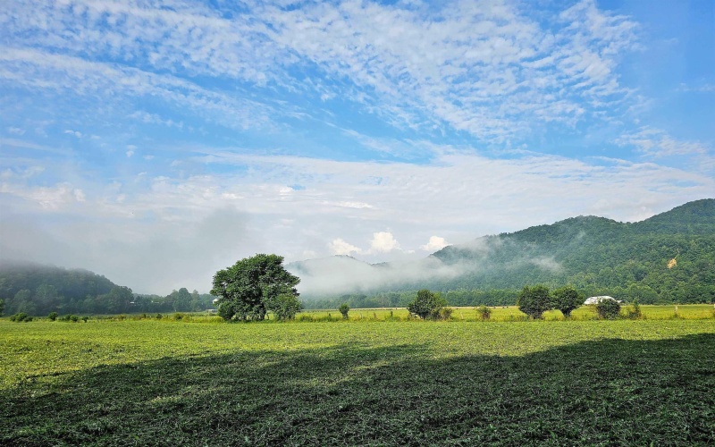 0 Route 1 (RR), Parsons, West Virginia 26287, ,Lots/land,For Sale,Route 1,10159313