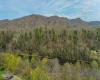0 Route 1 (RR), Parsons, West Virginia 26287, ,Lots/land,For Sale,Route 1,10159313