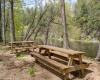 0 Route 1 (RR), Parsons, West Virginia 26287, ,Lots/land,For Sale,Route 1,10159313