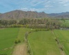 0 Route 1 (RR), Parsons, West Virginia 26287, ,Lots/land,For Sale,Route 1,10159313
