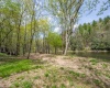 0 Route 1 (RR), Parsons, West Virginia 26287, ,Lots/land,For Sale,Route 1,10159313