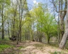 0 Route 1 (RR), Parsons, West Virginia 26287, ,Lots/land,For Sale,Route 1,10159313