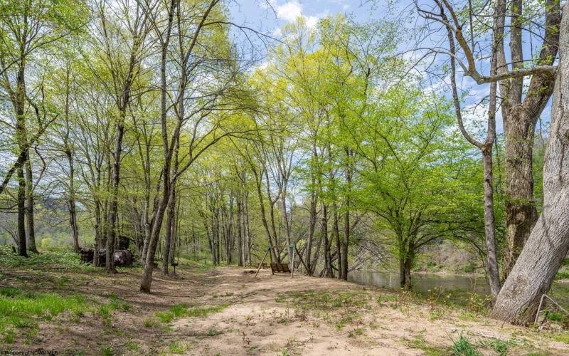 0 Route 1 (RR), Parsons, West Virginia 26287, ,Lots/land,For Sale,Route 1,10159313