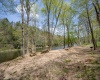 0 Route 1 (RR), Parsons, West Virginia 26287, ,Lots/land,For Sale,Route 1,10159313